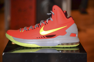New at SuccezZ: Lebron 9 Christmas